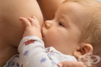 ��� ��������� �� ����� �������